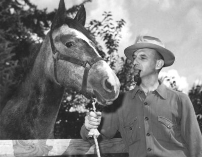 Haycox at Home with Horse