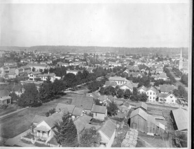 Portland, Oregon, Panoramic View, 1880, 3