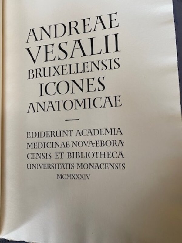 Andreae Vesalii Bruxellensis Icones anatomicae
