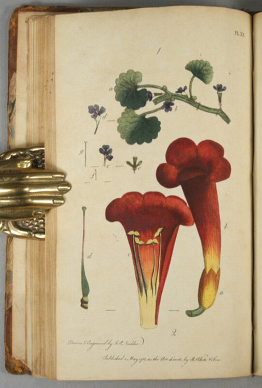 Thirty-eight plates, with explanations : intended to illustrate Linnaeus's System of vegetables, and particularly adapted to the Letters on the elements of botany