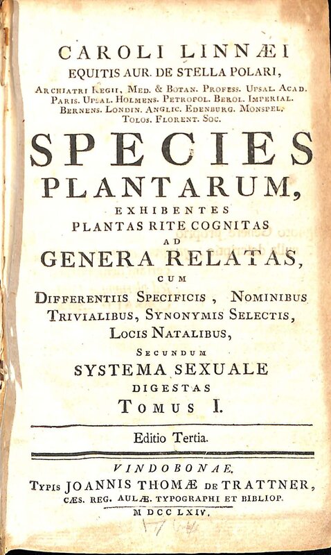 Caroli Linnæi... Species plantarum, 1764 